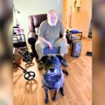 Kaip iHeartDogs Hero VIP klubo nariai padėjo Violai rasti vilties po širdies skausmo