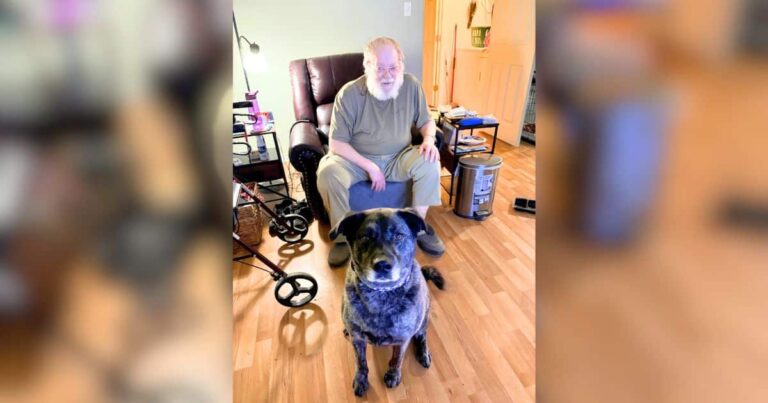 Kaip iHeartDogs Hero VIP klubo nariai padėjo Violai rasti vilties po širdies skausmo